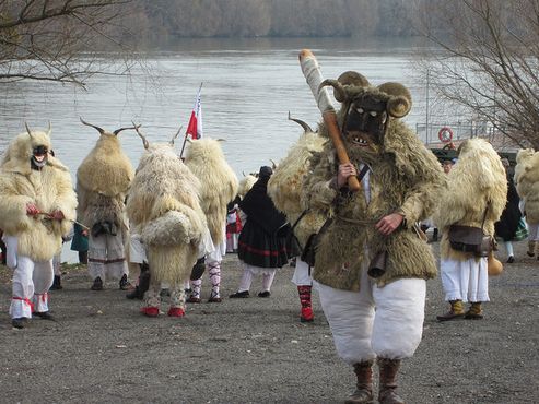 Бушары прибывают через Дунай, 2018 год