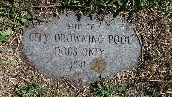 Бассейн, где топили собак