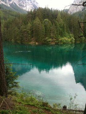 Воды Грин-Лейка достигли леса, который обычно находится в пяти метрах от берега