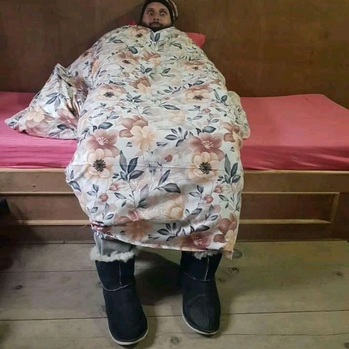 Отели 3*, Лоджи