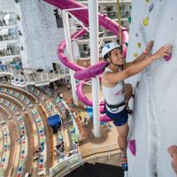 Harmony of The Seas (31/44)