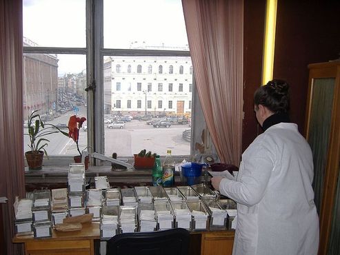 Упаковка семян для раздачи другим исследовательским станциям,из окна вид на Исаакиевскую площадь