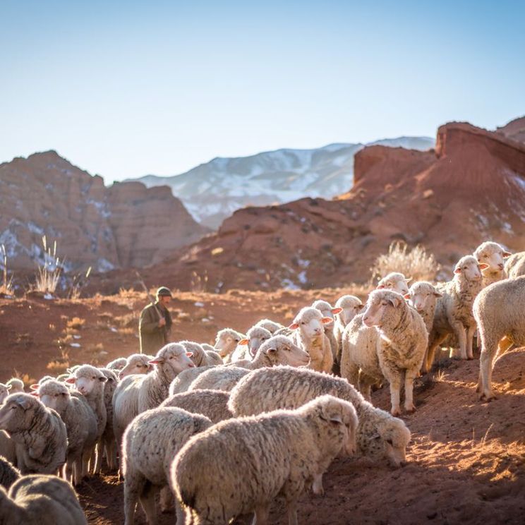 Глэмпинги, Отели 3*, Отели 4*, Юрты