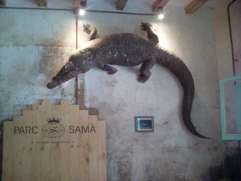 Чучело крокодила в баре парка
