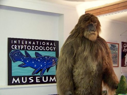 Международный музей криптозоологии
