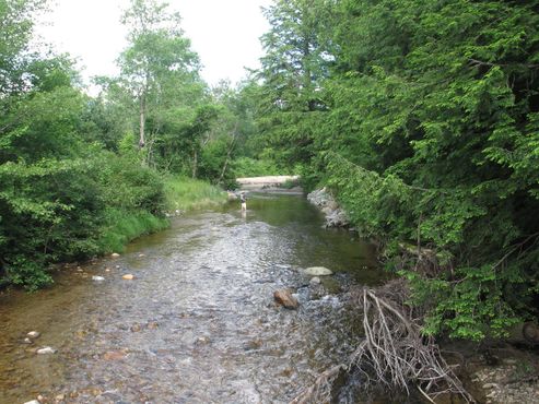 Тропа Роберта Фроста