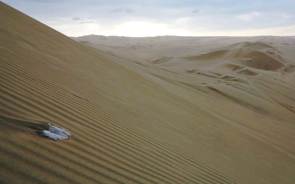 В дюнах копится мусор, принесённый из полного людей оазиса 