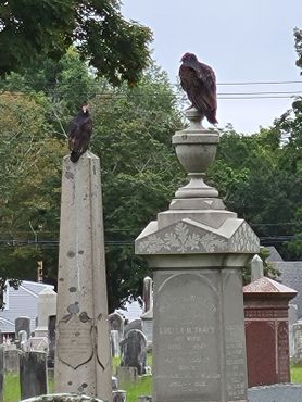 Кладбище Янтик