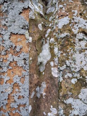 Стоячие камни Ландин-Линкс