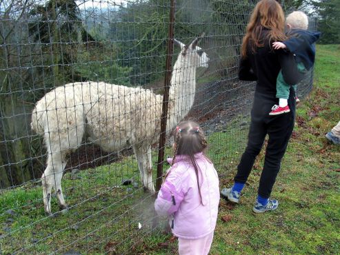 Заповедник «Олимпик-Гейм-Фарм»