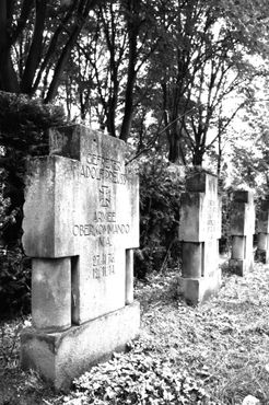 Надгробные плиты погибшим в Первой мировой войне на заброшенном кладбище Дессау