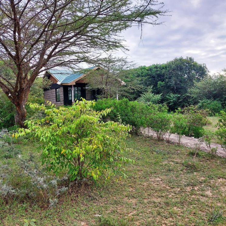 Отели 1-2*, Лоджи