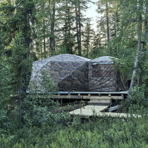 Кемпинги, Гостевые домики