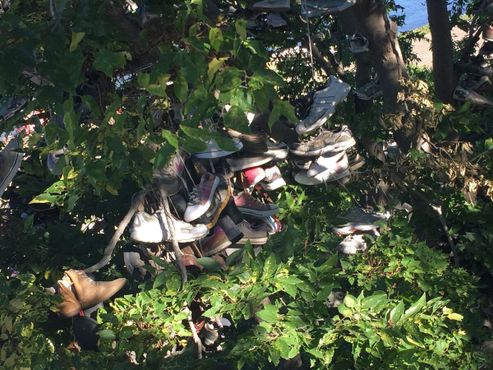Башмаки на обувном дереве вблизи
