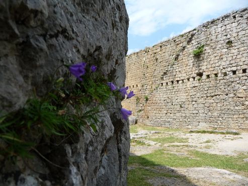 Замок Монсегюр