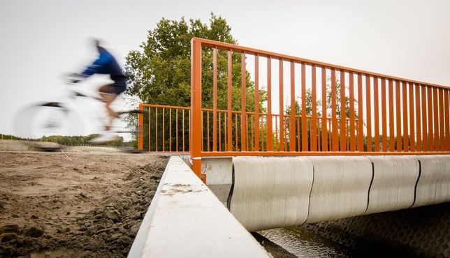 Велосипедист едет по одному из первых в мире 3D-печатных бетонных мостов после его открытия в Гемерте, Нидерланды, в 2017 году