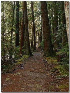 Тропа к источникам