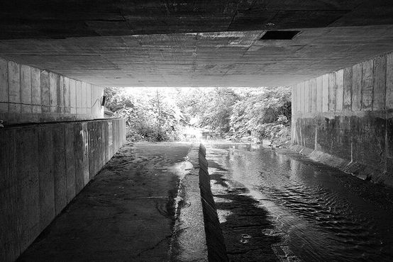 Вид наружу из туннеля Поугс-Ран (Фото: Стюарт Хаятт)