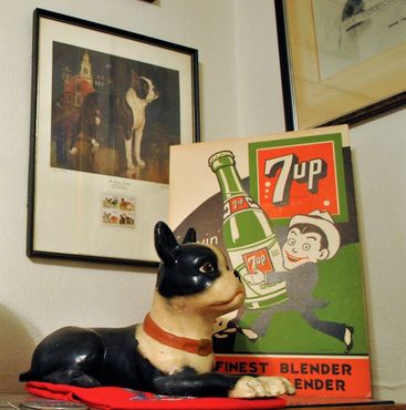 Музей бостон-терьеров