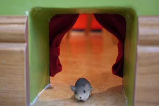 Музейная мышь
