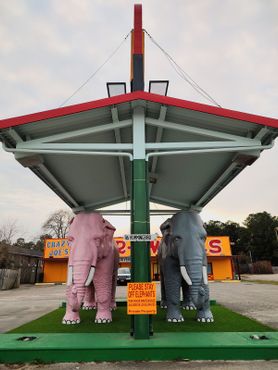 Тельма и Луиза на новом месте, 22 декабря 2023 г.