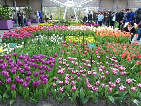 Парк Кёкенхоф