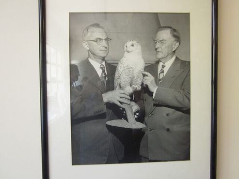 Роберт Мур и его белая сова