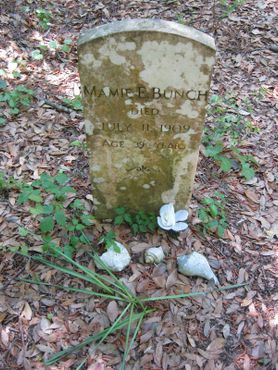 Ракушки на кладбище Уош-Вудс