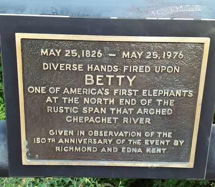 Памятная доска на месте убийства Малышки Бет