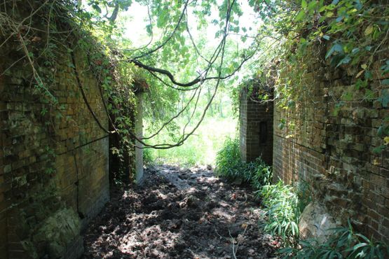 Руины форта Сент-Филип