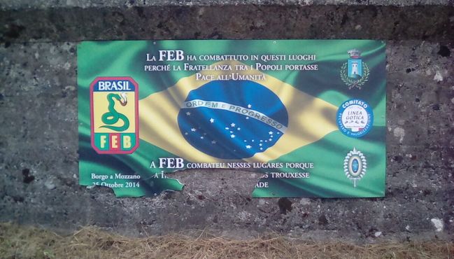  Флаг с подписями в честь празднования 50-й годовщины взятия города бразильскими войсками