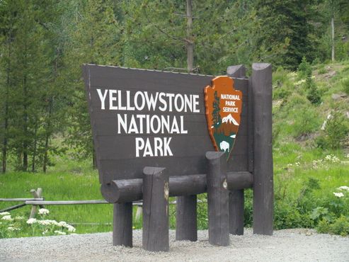 В национальном парке Йеллоустоун находится «Зона смерти» 
