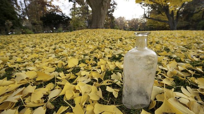 15-я бутылка