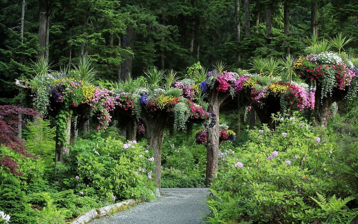 Ботанический сад 'Glacier Gardens' в Джуно