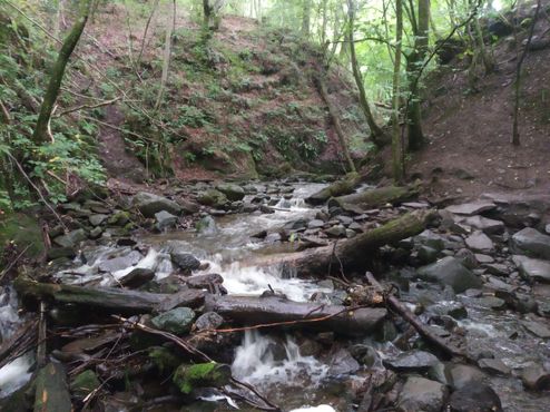 Тропа Дарн-Уок