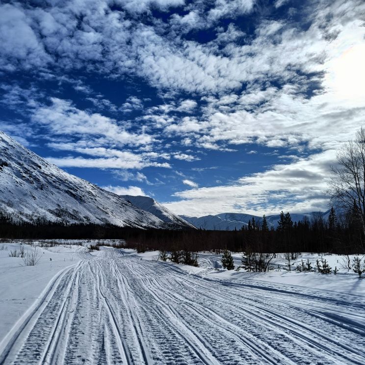 Гостевые домики