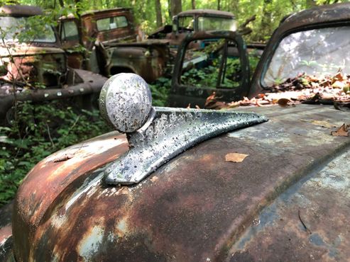 «Город старых машин», Джорджия, США