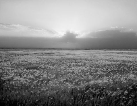 Шайеннская низина