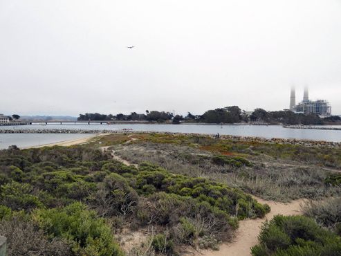 Элкхорн-Слау