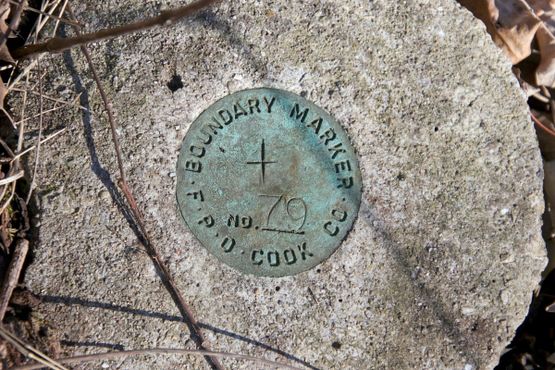 Кладбище Бачелорс-Гроув