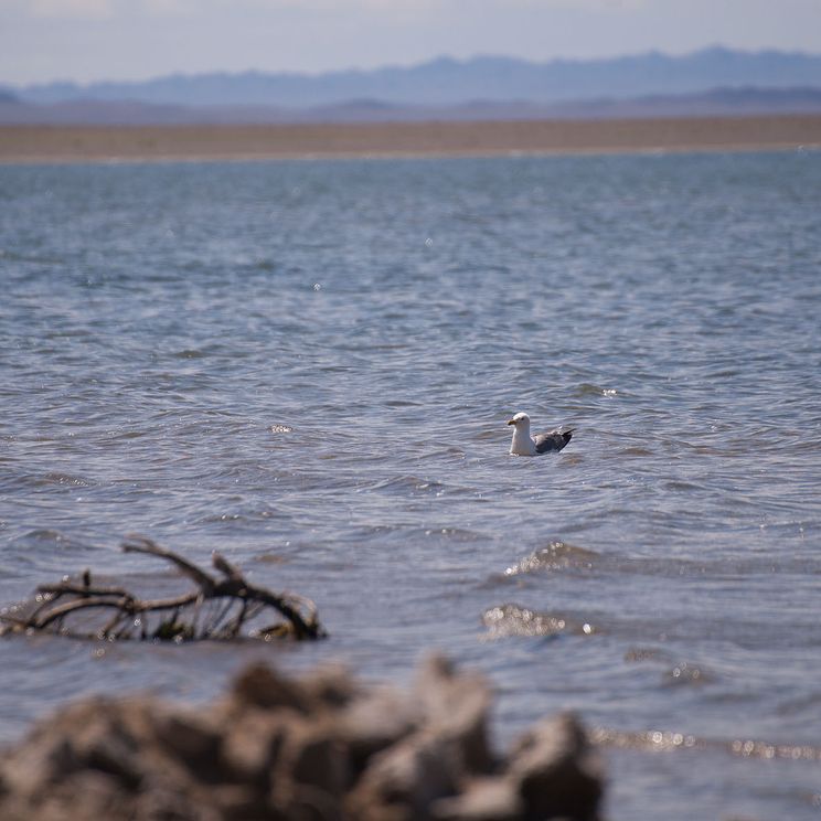 Кемпинги, Отели 3*, Юрты, Палатки