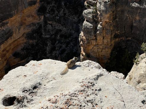 Февраль 2024 г.