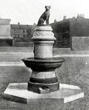 Первый памятник Коричневой собаке