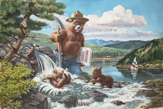 «Чистая вода», 1986 г.