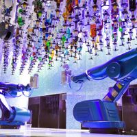 Anthem of the Seas (14/37)