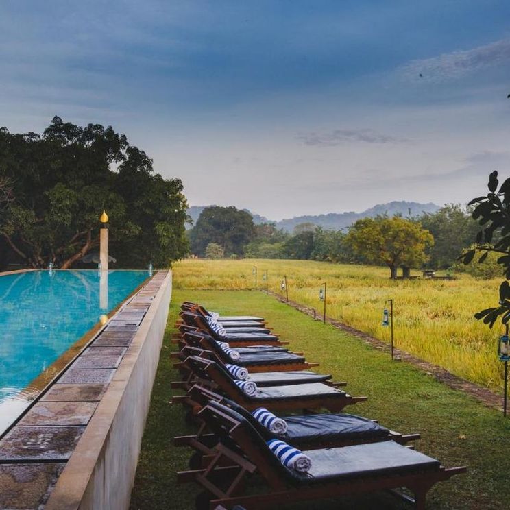 Отели 4*, Отели 5*