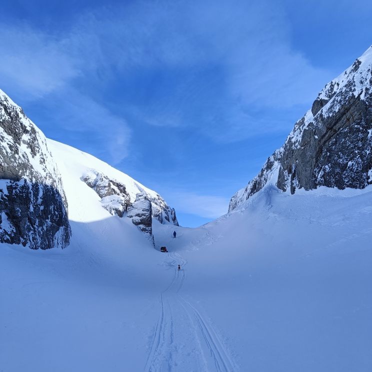 Гостевые домики