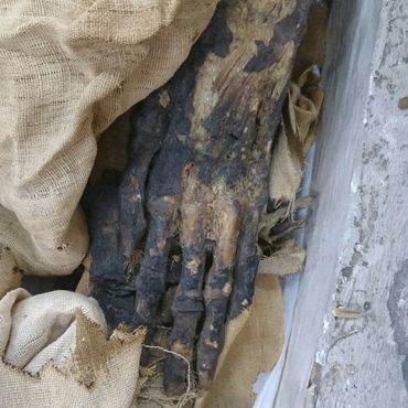 Мумия Та-Куш