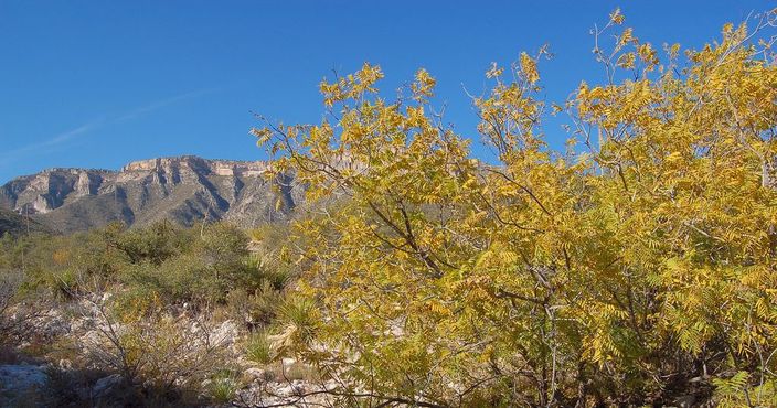 Осенние краски каньона Маккиттрик