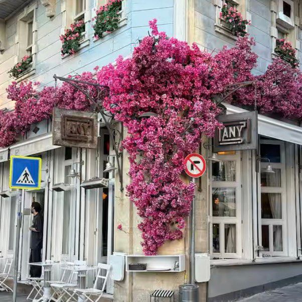 Гостевые домики, Апартаменты, Виллы